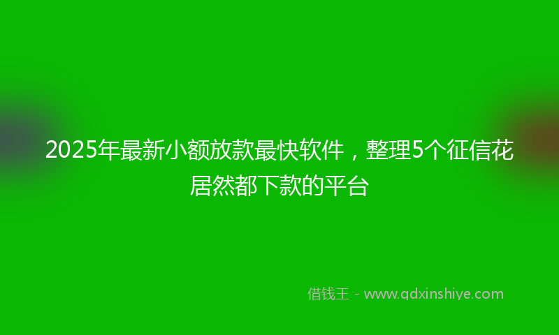 2025年最新小额放款最快软件，整理5个征信花居然都下款的平台