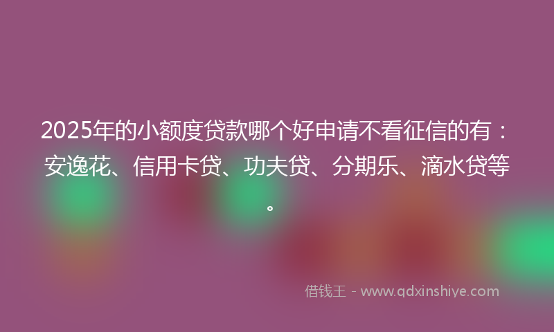 2025年的小额度贷款哪个好申请不看征信的有：安逸花、信用卡贷、功夫贷、分期乐、滴水贷等。