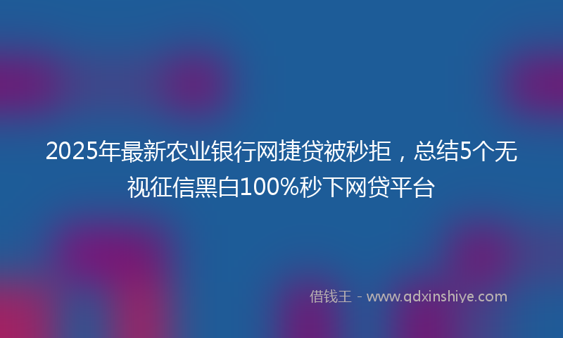 2025年最新农业银行网捷贷被秒拒，总结5个无视征信黑白100%秒下网贷平台