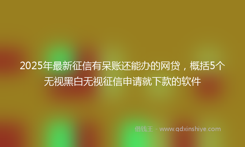 2025年最新征信有呆账还能办的网贷，概括5个无视黑白无视征信申请就下款的软件