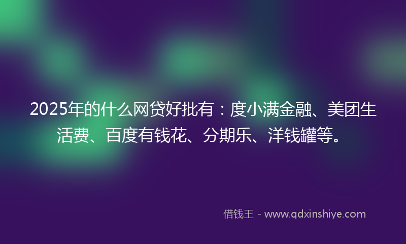 2025年的什么网贷好批有：度小满金融、美团生活费、百度有钱花、分期乐、洋钱罐等。