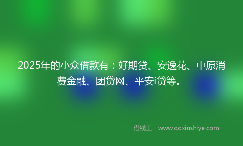 2025年的小众借款有：好期贷、安逸花、中原消费金融、团贷网、平安i贷等。