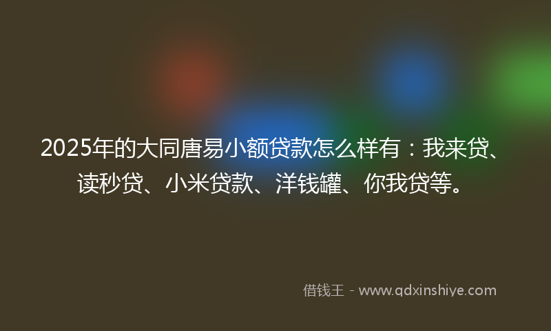 2025年的大同唐易小额贷款怎么样有：我来贷、读秒贷、小米贷款、洋钱罐、你我贷等。
