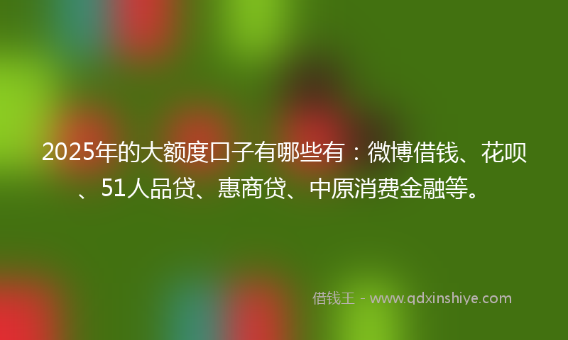 2025年的大额度口子有哪些有：微博借钱、花呗、51人品贷、惠商贷、中原消费金融等。
