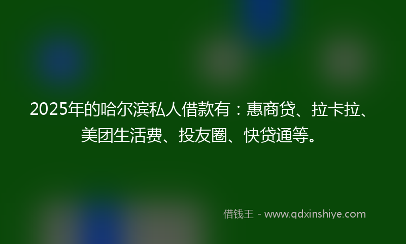2025年的哈尔滨私人借款有：惠商贷、拉卡拉、美团生活费、投友圈、快贷通等。