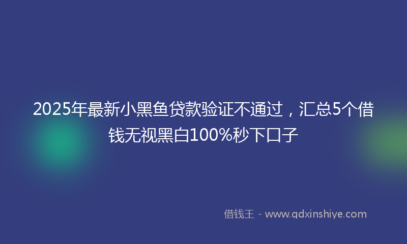 2025年最新小黑鱼贷款验证不通过，汇总5个借钱无视黑白100%秒下口子