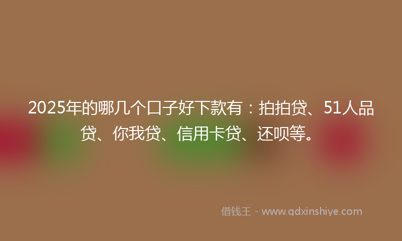 2025年的哪几个口子好下款有：拍拍贷、51人品贷、你我贷、信用卡贷、还呗等。