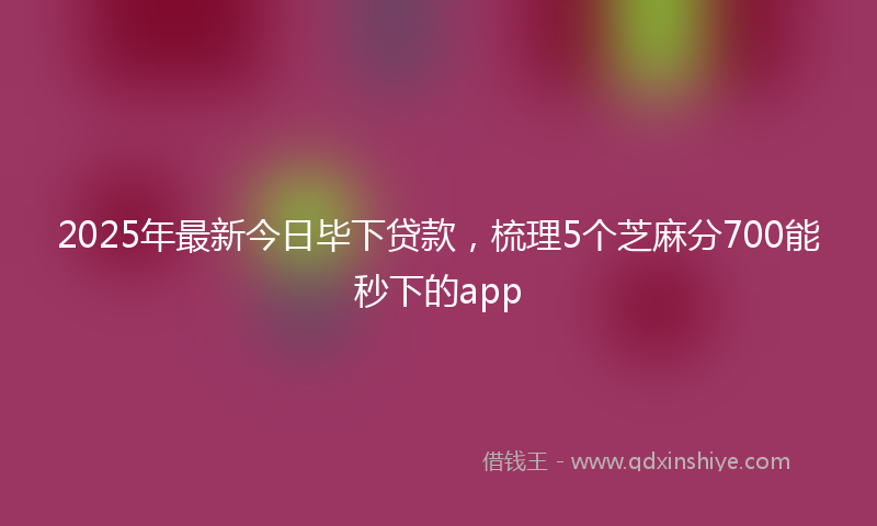 2025年最新今日毕下贷款，梳理5个芝麻分700能秒下的app