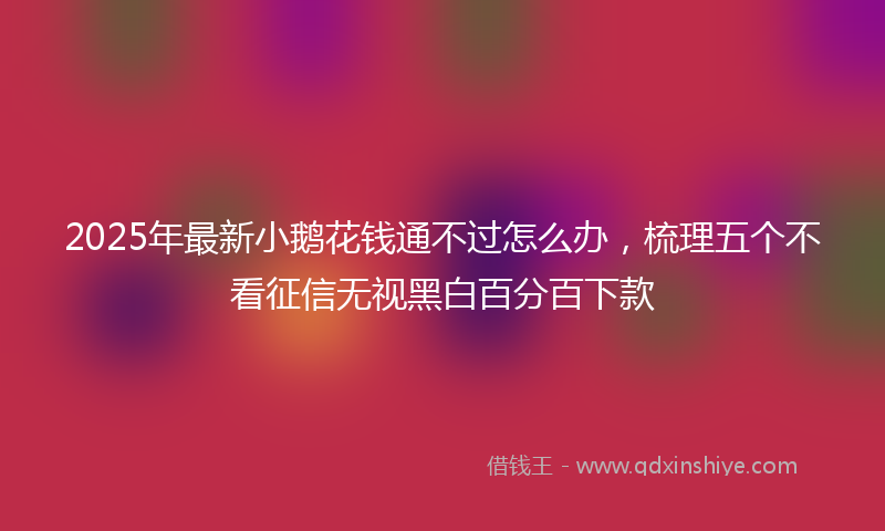 2025年最新小鹅花钱通不过怎么办，梳理五个不看征信无视黑白百分百下款