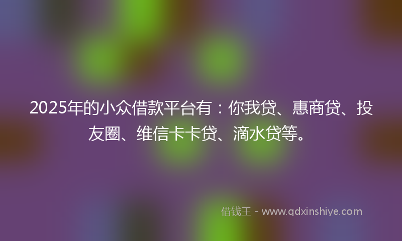 2025年的小众借款平台有：你我贷、惠商贷、投友圈、维信卡卡贷、滴水贷等。