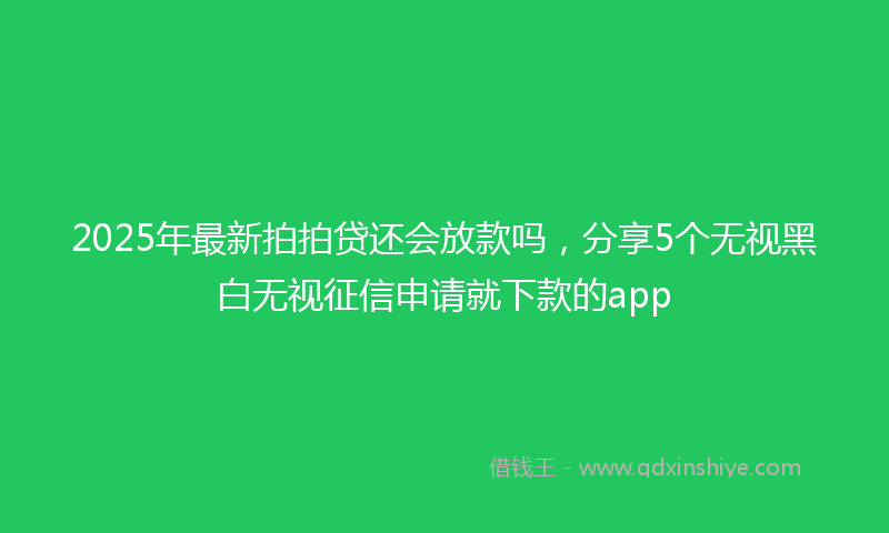 2025年最新拍拍贷还会放款吗，分享5个无视黑白无视征信申请就下款的app