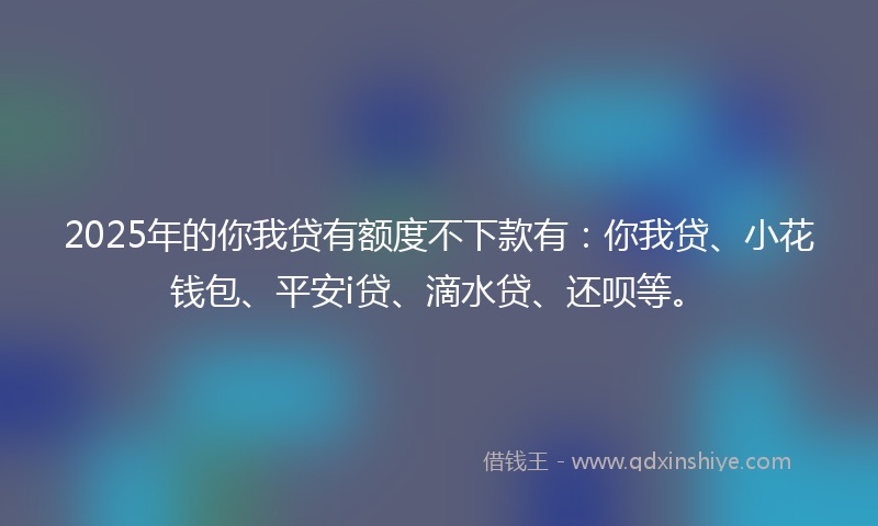 2025年的你我贷有额度不下款有：你我贷、小花钱包、平安i贷、滴水贷、还呗等。