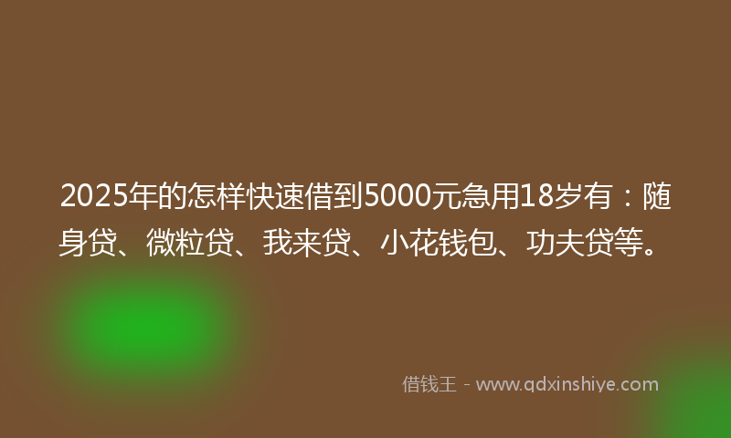2025年的怎样快速借到5000元急用18岁有：随身贷、微粒贷、我来贷、小花钱包、功夫贷等。