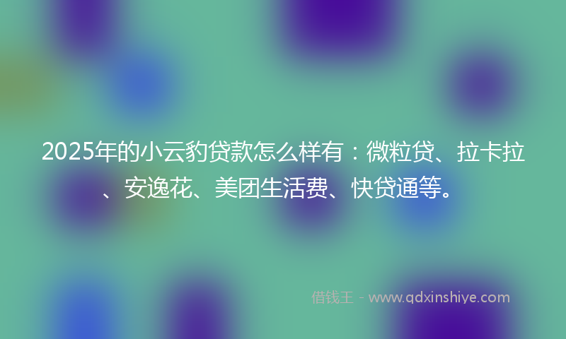 2025年的小云豹贷款怎么样有：微粒贷、拉卡拉、安逸花、美团生活费、快贷通等。