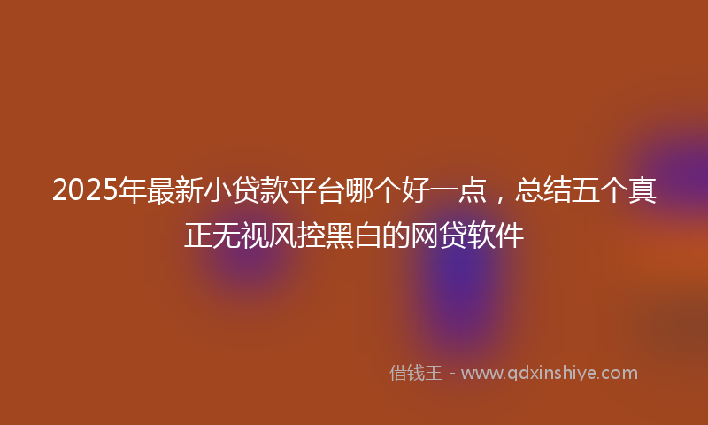 2025年最新小贷款平台哪个好一点，总结五个真正无视风控黑白的网贷软件