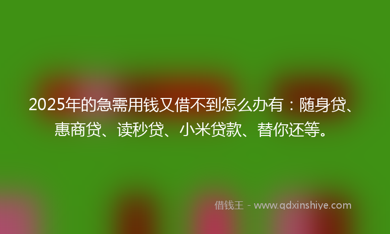 2025年的急需用钱又借不到怎么办有：随身贷、惠商贷、读秒贷、小米贷款、替你还等。
