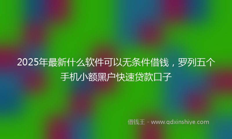 2025年最新什么软件可以无条件借钱，罗列五个手机小额黑户快速贷款口子