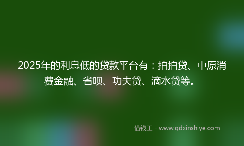2025年的利息低的贷款平台有：拍拍贷、中原消费金融、省呗、功夫贷、滴水贷等。