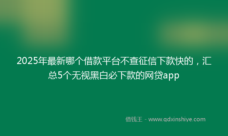 2025年最新哪个借款平台不查征信下款快的，汇总5个无视黑白必下款的网贷app