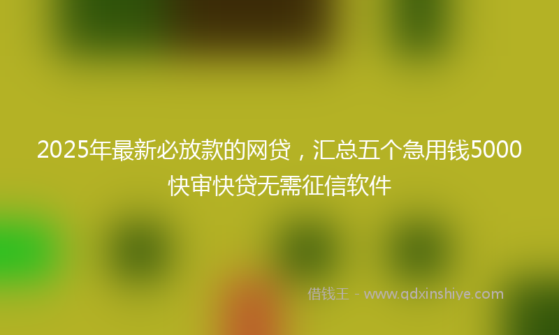 2025年最新必放款的网贷，汇总五个急用钱5000快审快贷无需征信软件