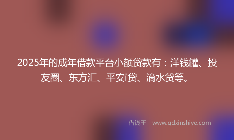 2025年的成年借款平台小额贷款有：洋钱罐、投友圈、东方汇、平安i贷、滴水贷等。