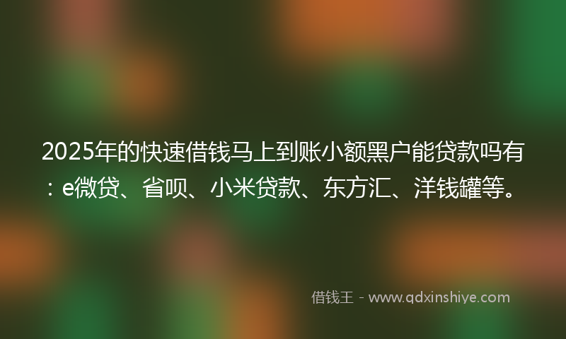 2025年的快速借钱马上到账小额黑户能贷款吗有：e微贷、省呗、小米贷款、东方汇、洋钱罐等。