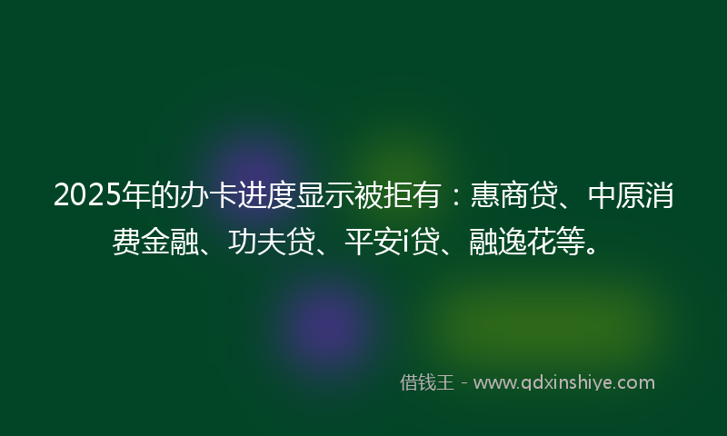 2025年的办卡进度显示被拒有：惠商贷、中原消费金融、功夫贷、平安i贷、融逸花等。