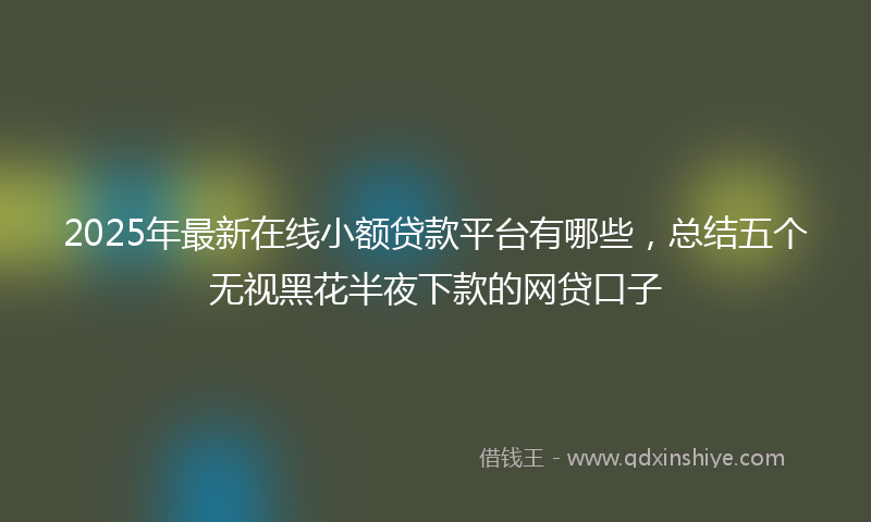 2025年最新在线小额贷款平台有哪些，总结五个无视黑花半夜下款的网贷口子