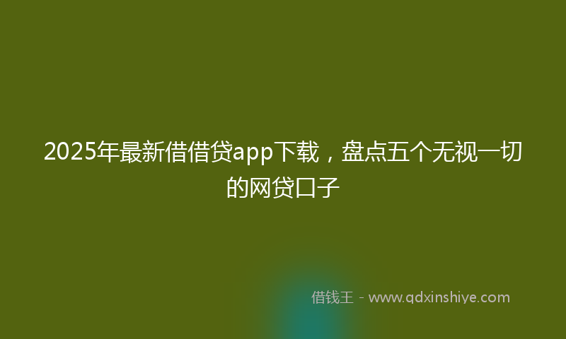 2025年最新借借贷app下载，盘点五个无视一切的网贷口子