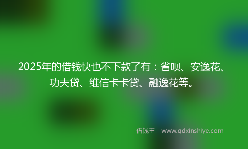 2025年的借钱快也不下款了有：省呗、安逸花、功夫贷、维信卡卡贷、融逸花等。