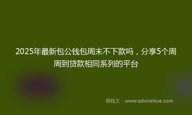 2025年最新包公钱包周末不下款吗，分享5个周周到贷款相同系列的平台