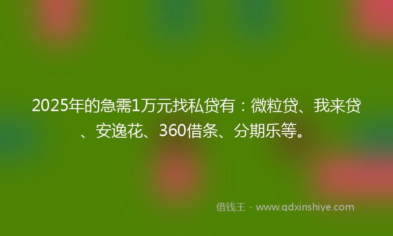 2025年的急需1万元找私贷有：微粒贷、我来贷、安逸花、360借条、分期乐等。