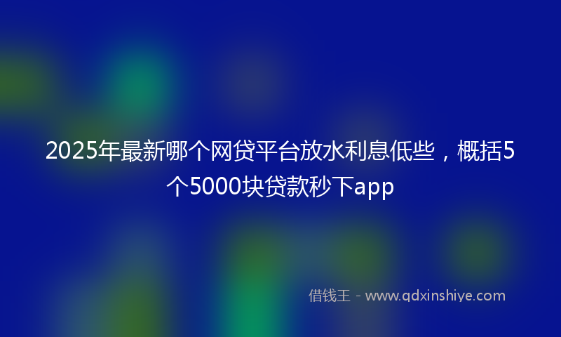 2025年最新哪个网贷平台放水利息低些，概括5个5000块贷款秒下app