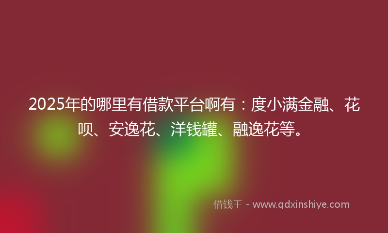 2025年的哪里有借款平台啊有：度小满金融、花呗、安逸花、洋钱罐、融逸花等。