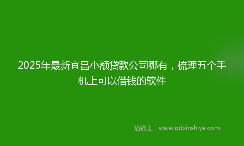 2025年最新宜昌小额贷款公司哪有，梳理五个手机上可以借钱的软件