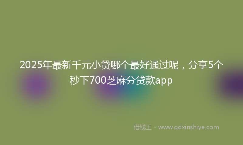 2025年最新千元小贷哪个最好通过呢，分享5个秒下700芝麻分贷款app