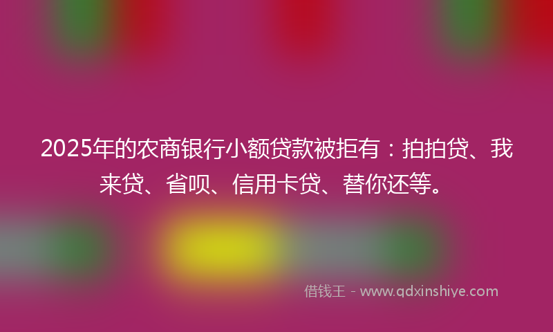 2025年的农商银行小额贷款被拒有：拍拍贷、我来贷、省呗、信用卡贷、替你还等。