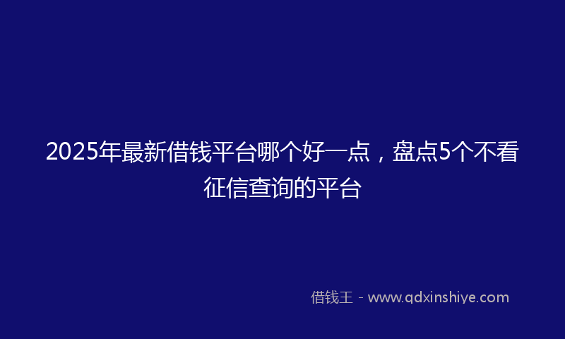 2025年最新借钱平台哪个好一点，盘点5个不看征信查询的平台
