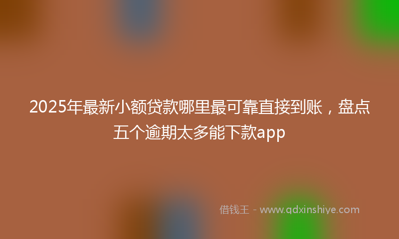 2025年最新小额贷款哪里最可靠直接到账，盘点五个逾期太多能下款app