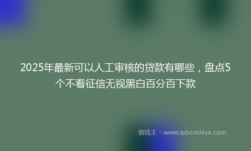 2025年最新可以人工审核的贷款有哪些，盘点5个不看征信无视黑白百分百下款
