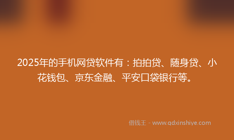 2025年的手机网贷软件有：拍拍贷、随身贷、小花钱包、京东金融、平安口袋银行等。