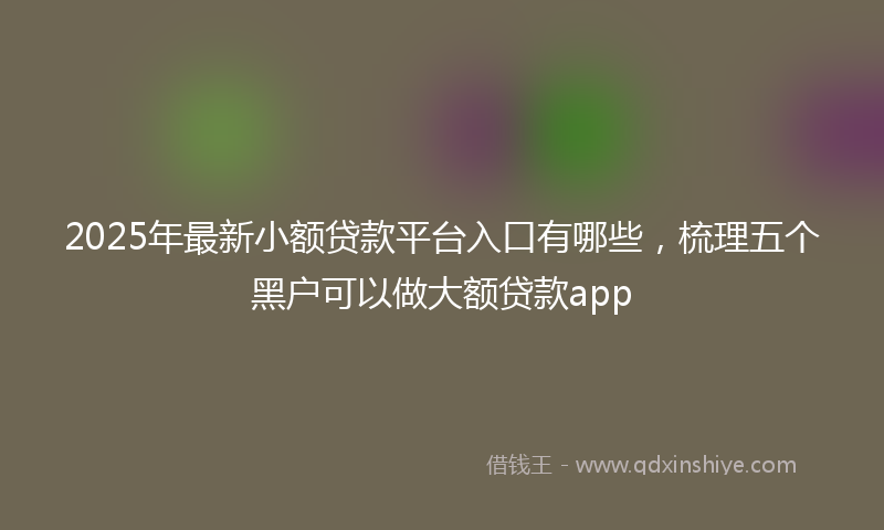 2025年最新小额贷款平台入口有哪些，梳理五个黑户可以做大额贷款app