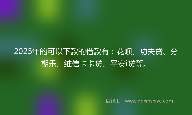 2025年的可以下款的借款有：花呗、功夫贷、分期乐、维信卡卡贷、平安i贷等。