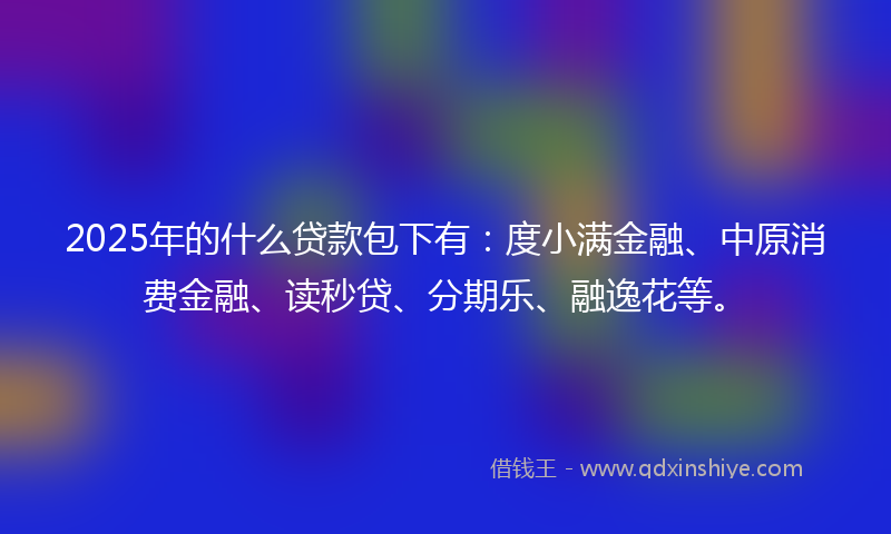 2025年的什么贷款包下有：度小满金融、中原消费金融、读秒贷、分期乐、融逸花等。