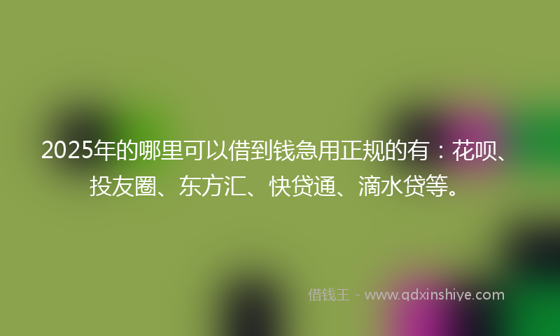 2025年的哪里可以借到钱急用正规的有：花呗、投友圈、东方汇、快贷通、滴水贷等。