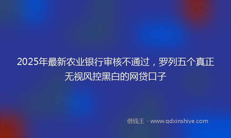 2025年最新农业银行审核不通过，罗列五个真正无视风控黑白的网贷口子