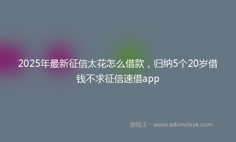 2025年最新征信太花怎么借款，归纳5个20岁借钱不求征信速借app