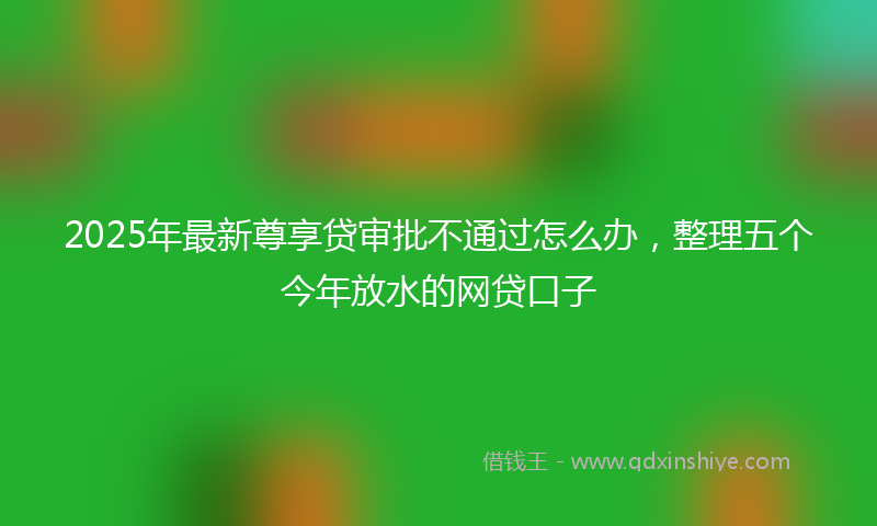 2025年最新尊享贷审批不通过怎么办，整理五个今年放水的网贷口子