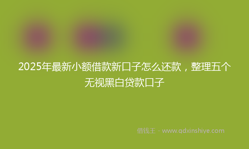 2025年最新小额借款新口子怎么还款，整理五个无视黑白贷款口子
