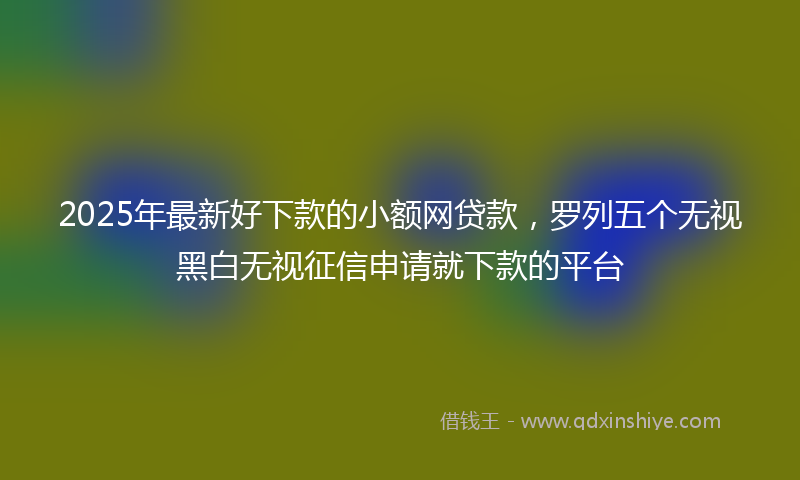 2025年最新好下款的小额网贷款，罗列五个无视黑白无视征信申请就下款的平台